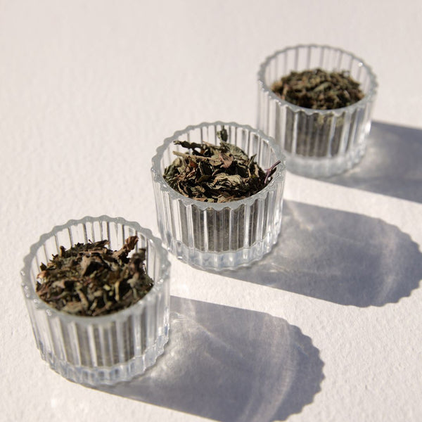 Organic Mint Loose Leaf Tea